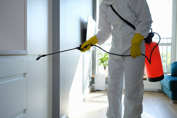 Best Emergency Mold Removal  in Barnsdall, OK